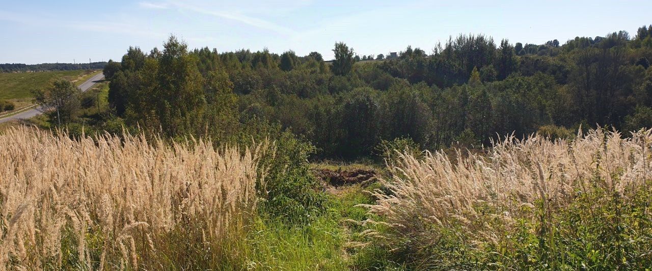 офис городской округ Сергиево-Посадский д Махра фото 2