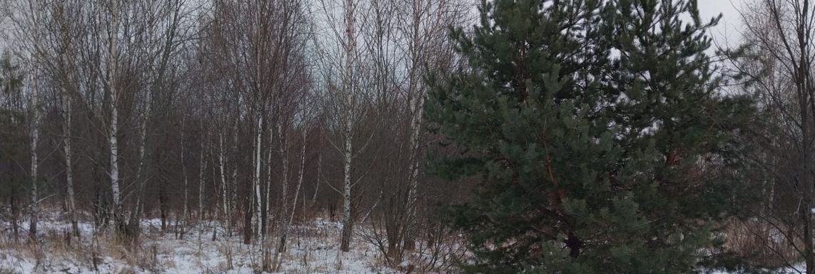 офис городской округ Ступино с Мещерино ул Солнечная фото 1