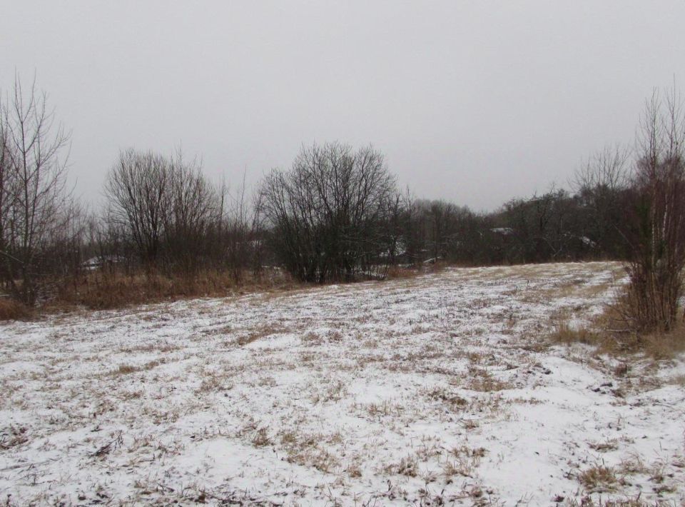 офис городской округ Коломенский д Ворыпаевка Коломна городской округ фото 1