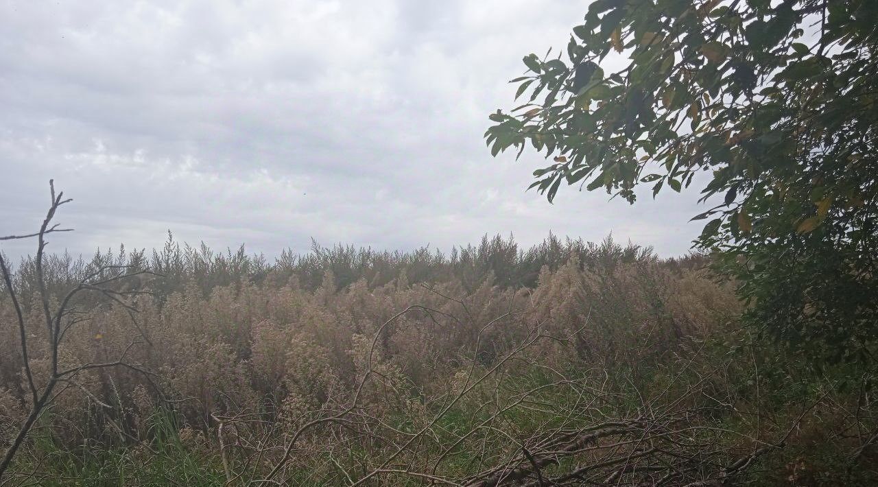 офис городской округ Сергиево-Посадский д. Напольское фото 4