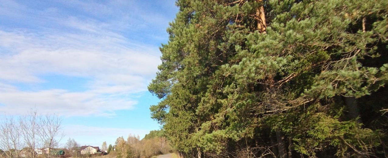 земля городской округ Одинцовский Уголек СНТ, 9 фото 1