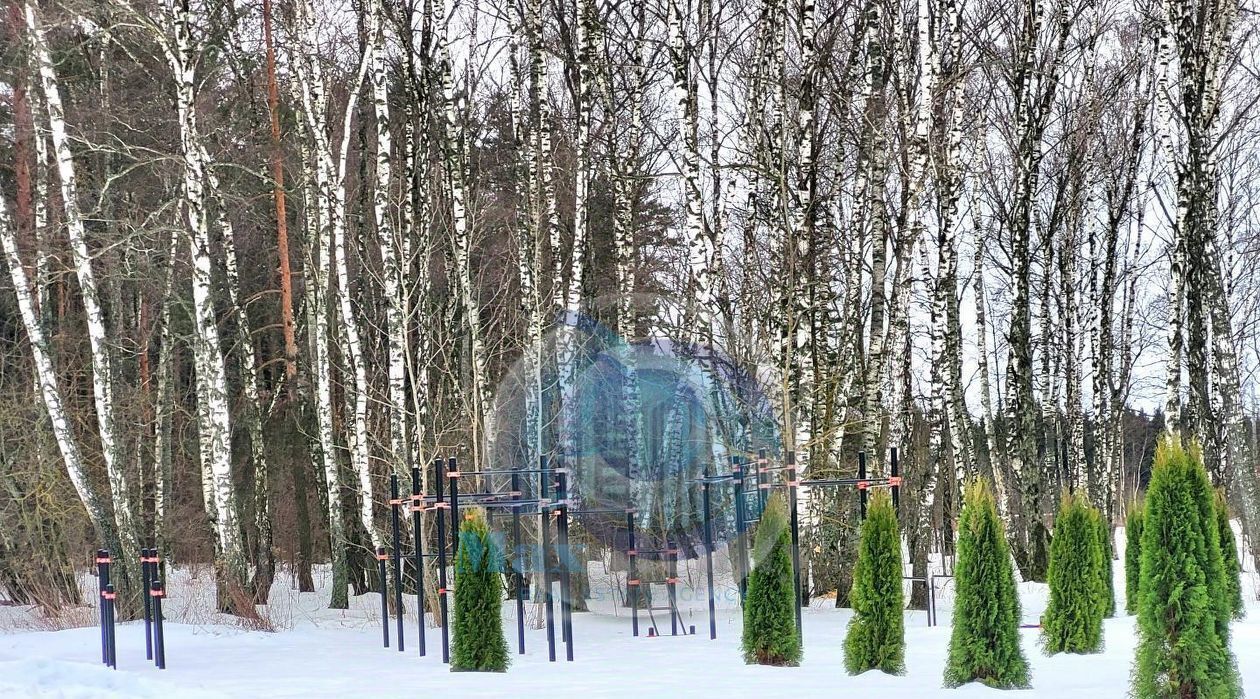 земля городской округ Сергиево-Посадский д Бор Домодедово, Подольск фото 3