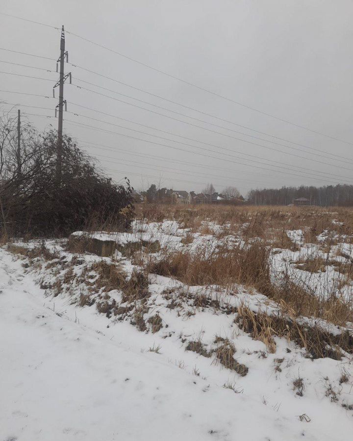 земля городской округ Богородский г Ногинск 37 км, д. Клюшниково, Горьковское шоссе фото 2