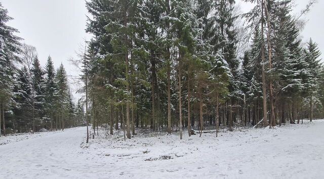 д Веревское Зеленоград — Крюково, Химки городской округ фото