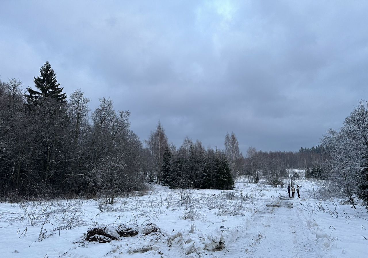 земля городской округ Одинцовский д Красные Всходы 38 км, 9, Звенигород, Минское шоссе фото 6