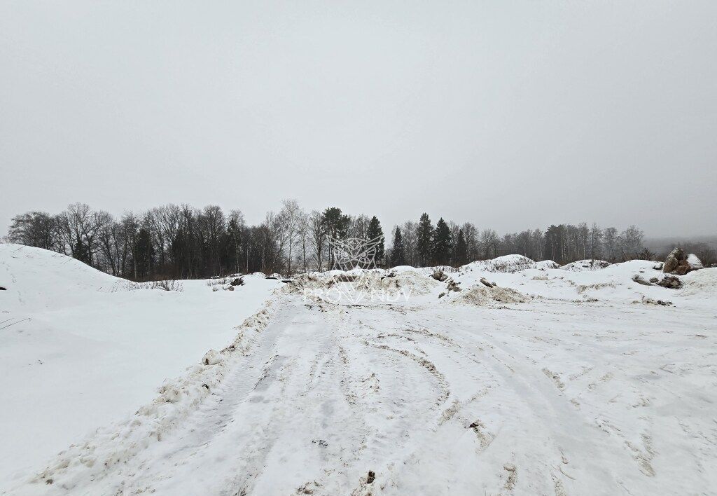 земля городской округ Пушкинский г Красноармейск 30 км, сельское поселение Царёвское, Ярославское шоссе фото 9