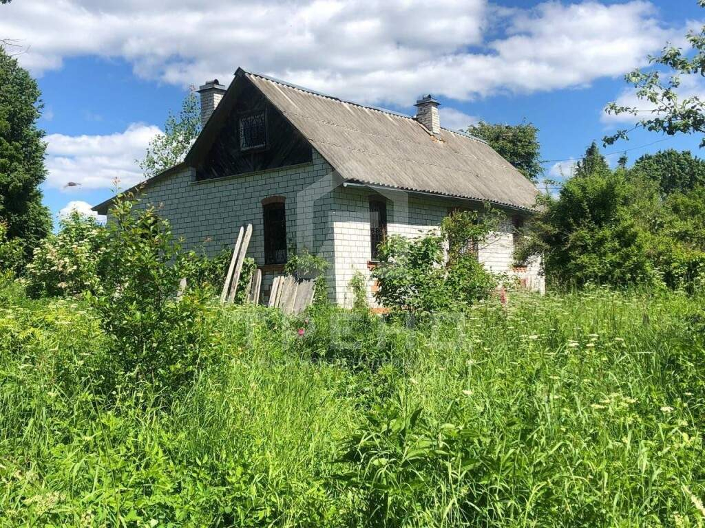 дом р-н Лужский д Зуево ул Лесная фото 6