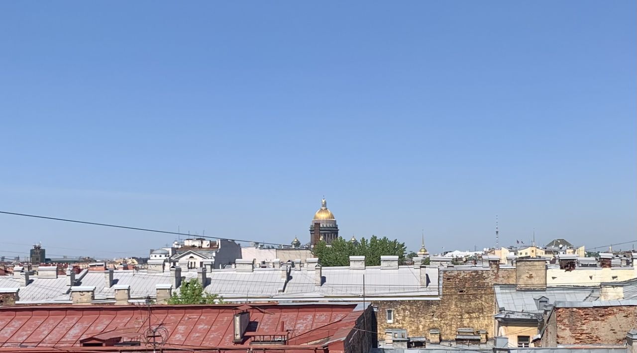 квартира г Санкт-Петербург метро Садовая р-н Адмиралтейский пр-кт Вознесенский 37/6 фото 16