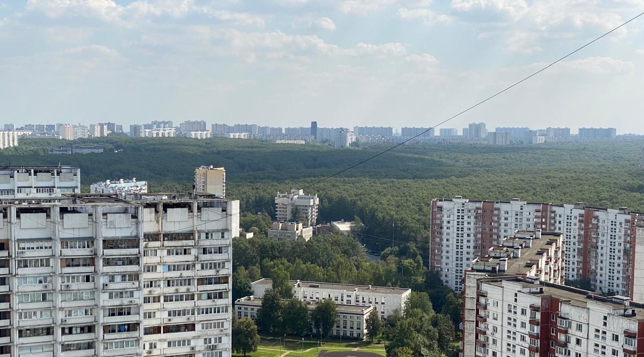 квартира г Москва метро Тропарёво пр-кт Ленинский 131 муниципальный округ Тёплый Стан фото 20