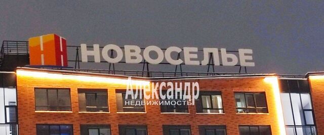 п Аннино Новоселье городской поселок, Проспект Ветеранов, ул. Петропавловская, 13 фото