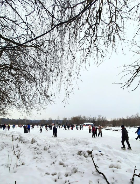 квартира г Балашиха проезд Московский 13 Щёлковская фото 13