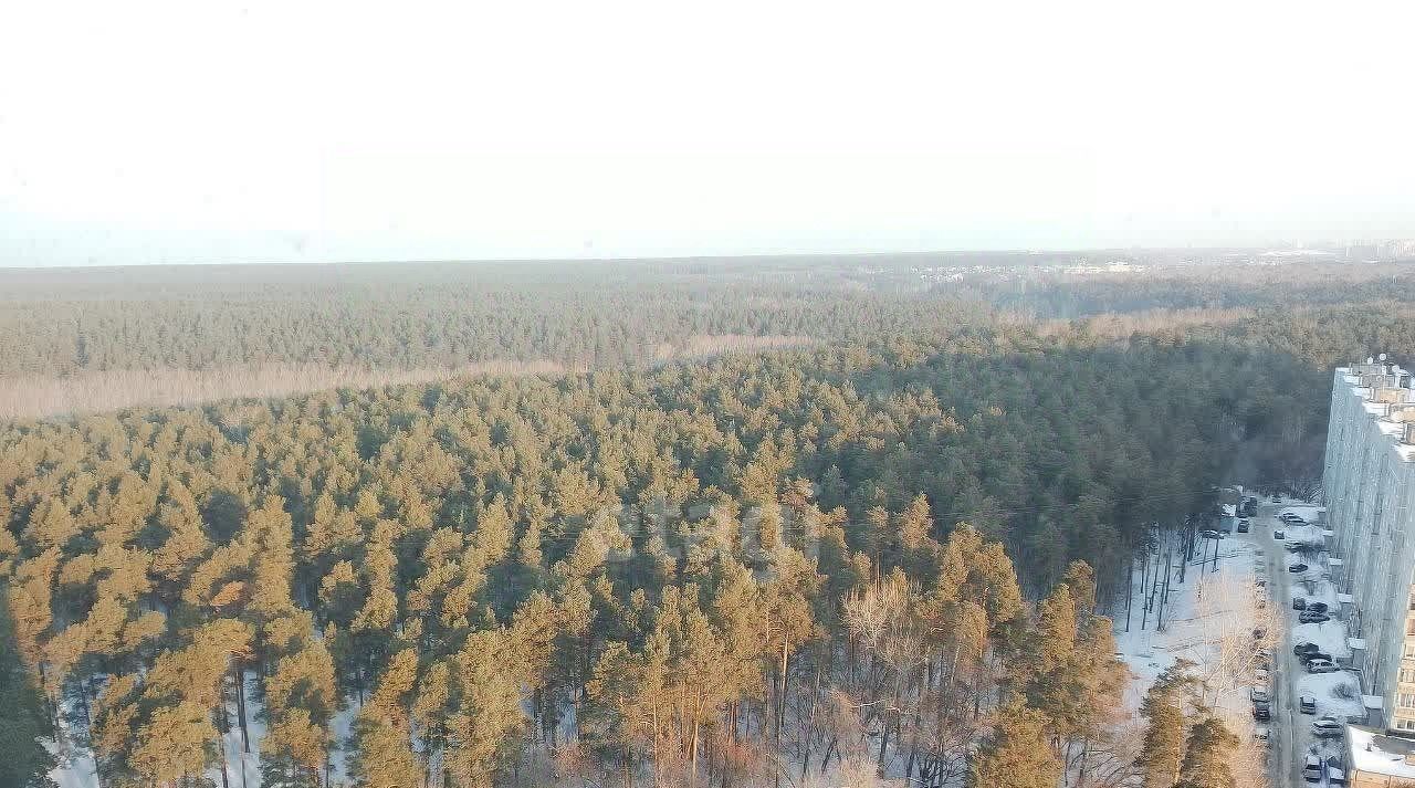 квартира г Новосибирск метро Площадь Гарина-Михайловского р-н Заельцовский ул Сухарная 96/3 фото 13