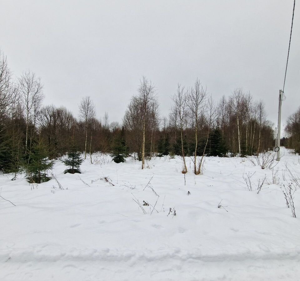 земля р-н Боровский д Сороковеть сельское поселение Совхоз Боровский, Боровск фото 5