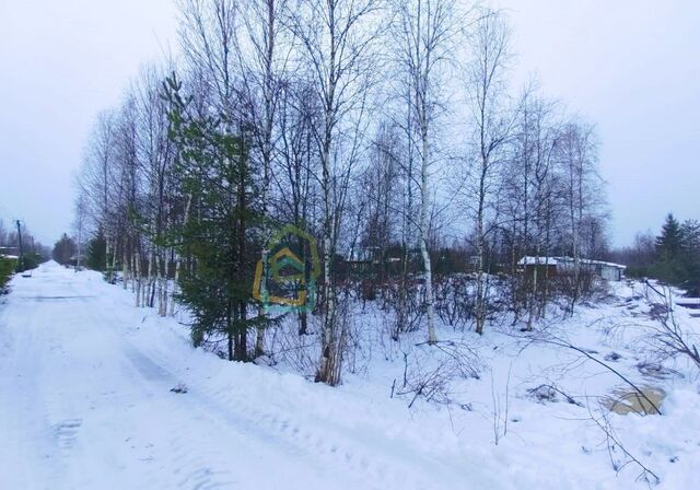 п Рощино ул Цветочная Выборгское шоссе, 38 км, Рощинское городское поселение, СНТ Луговое фото