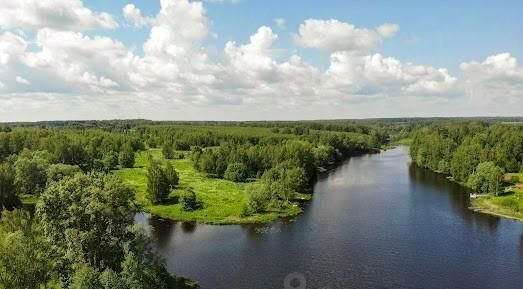 дом р-н Чкаловский д Санагирево 8А, Чкаловск городской округ фото 49