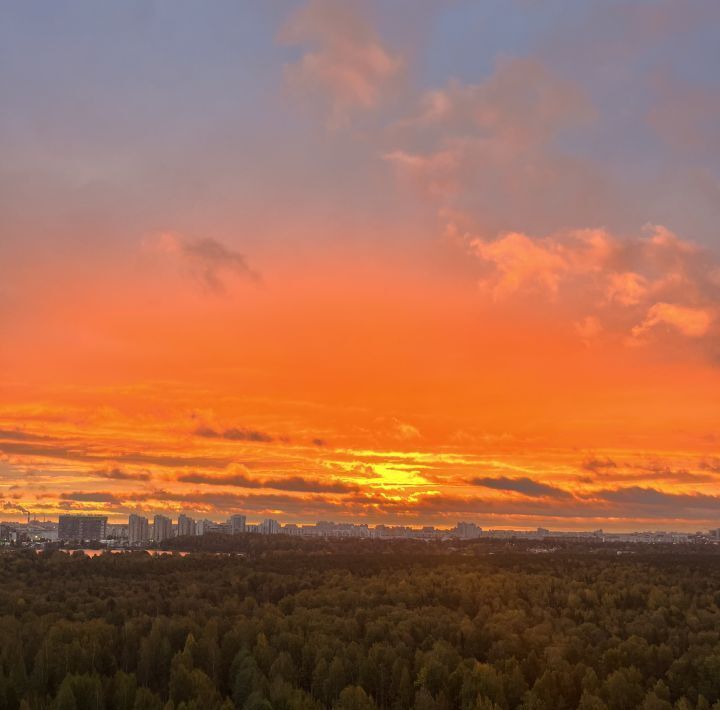 квартира г Санкт-Петербург метро Проспект Просвещения наб Реки Каменки 19к/1 округ Коломяги фото 15