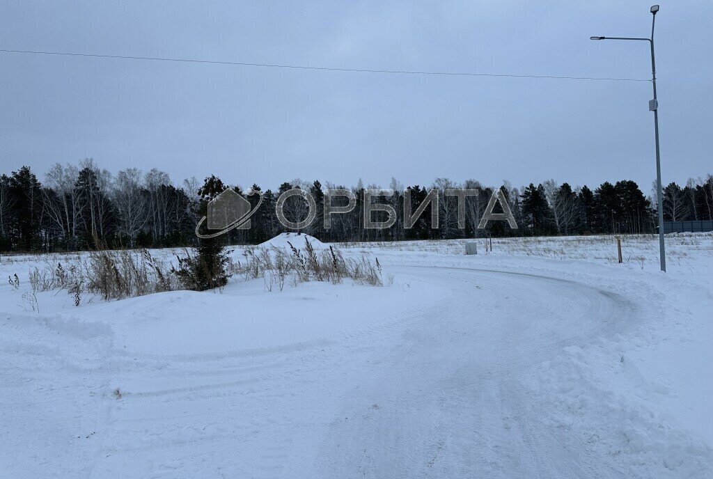 земля р-н Тюменский с Кулаково фото 1