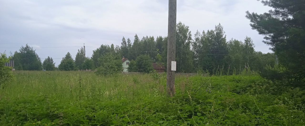 земля р-н Новгородский д Наволок Бронницкое сельское поселение, Пролетарий фото 5