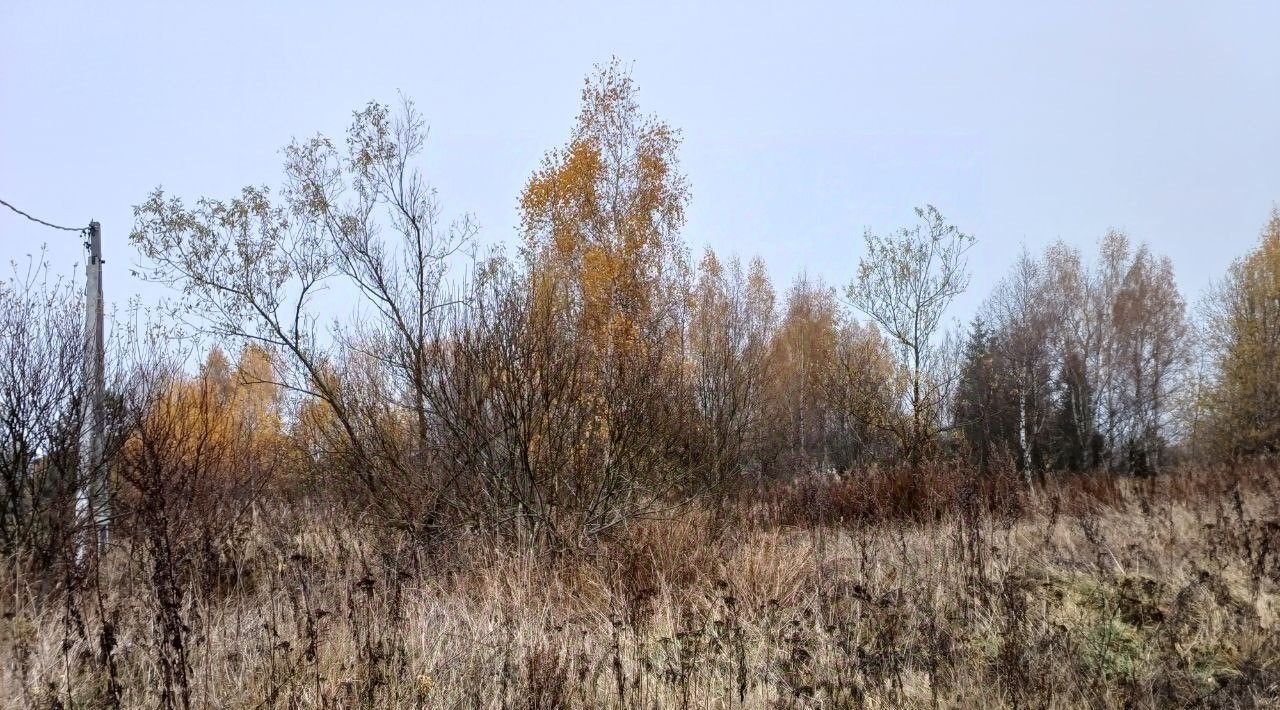 офис городской округ Сергиево-Посадский д Истомино 14 фото 1