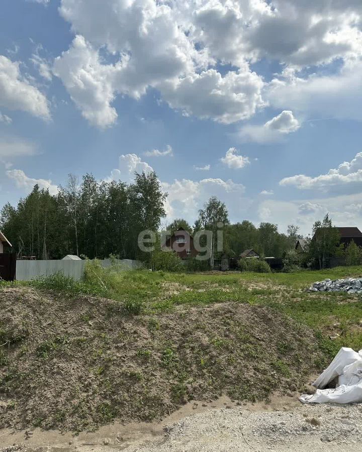 земля р-н Тюменский рп Боровский снт Рассвет Центральная ул фото 6