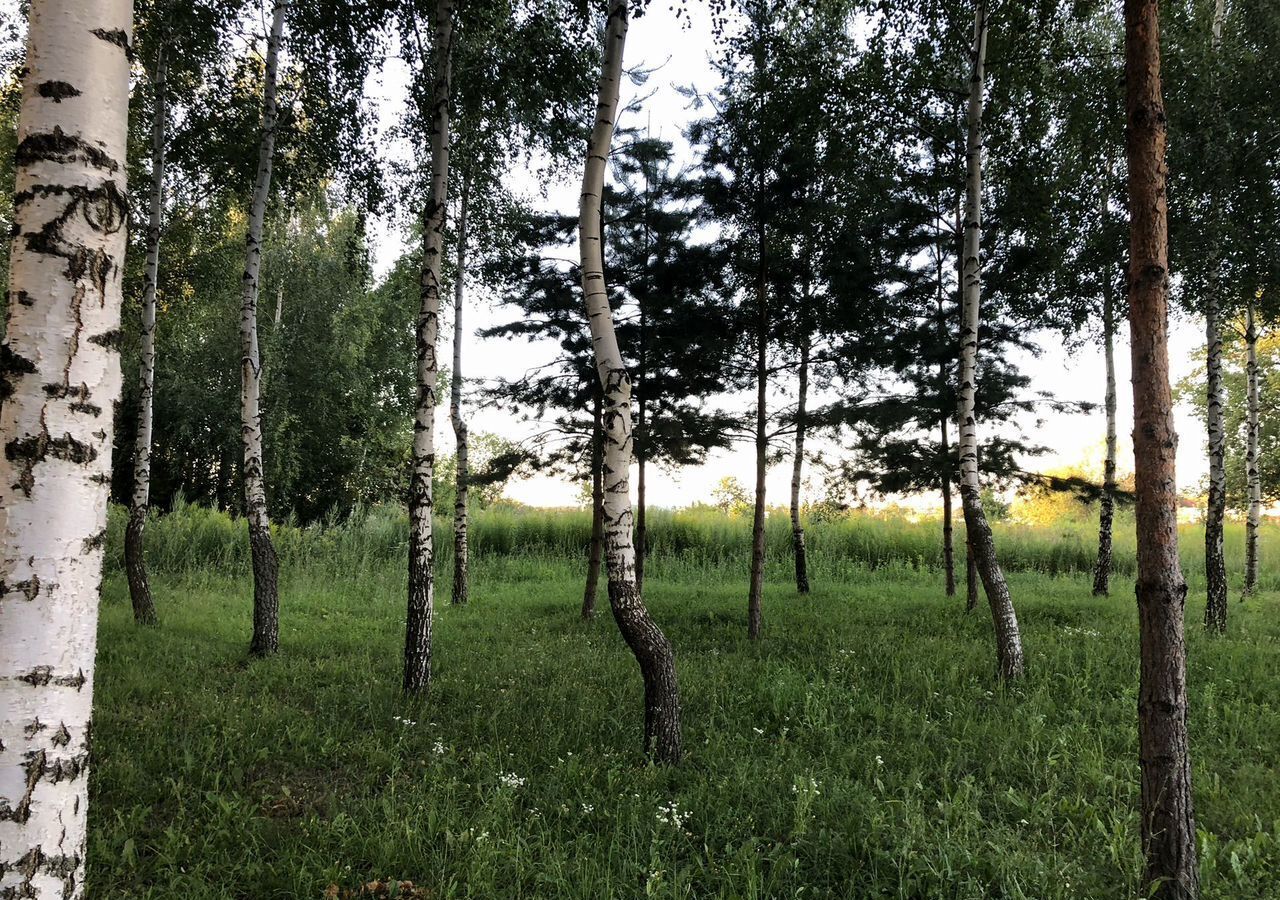 земля р-н Щекинский д Пироговка-Соковнино сельское поселение Яснополянское, Щекино фото 2