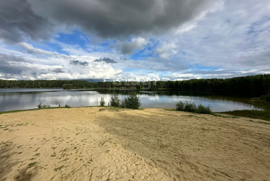 дом р-н Верхнесалдинский п Басьяновский фото 12