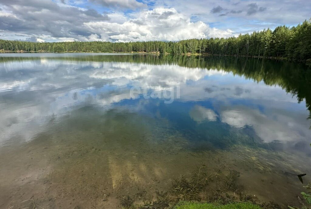 дом р-н Верхнесалдинский п Басьяновский фото 16