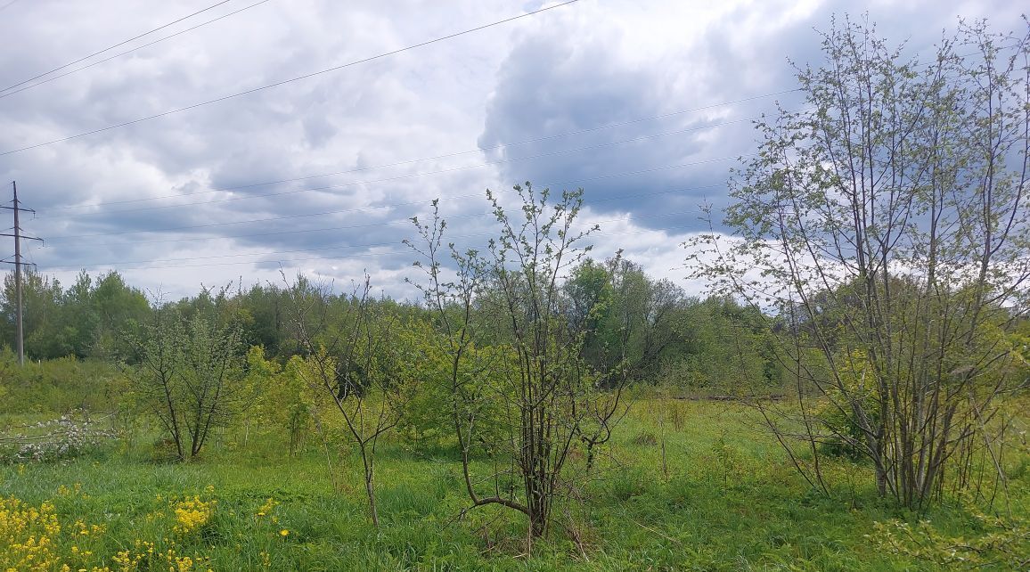 офис городской округ Наро-Фоминский г Верея фото 2