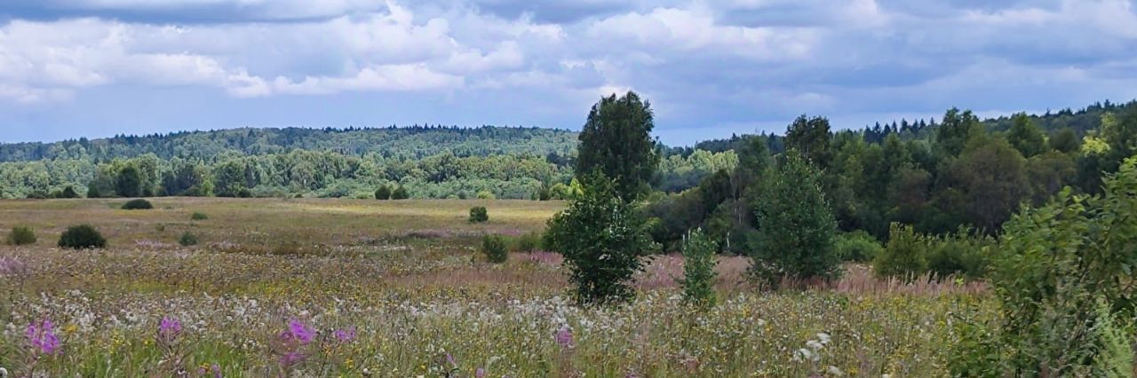 офис городской округ Солнечногорск д Мостки фото 2