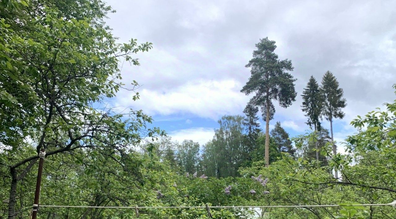 земля р-н Гатчинский Вырица городской поселок, Купчино, ул. Речная фото 5