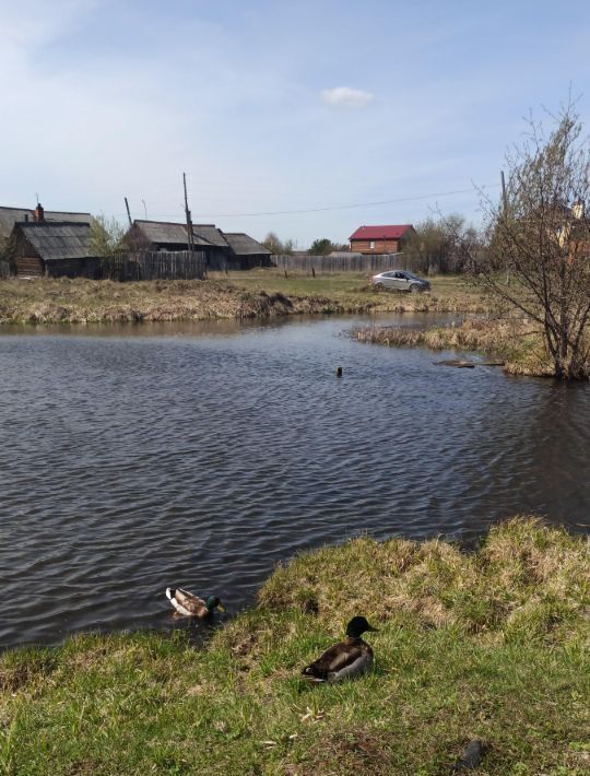 дом р-н Невьянский с Шайдуриха ул Свердлова 64 Невьянский городской округ фото 16