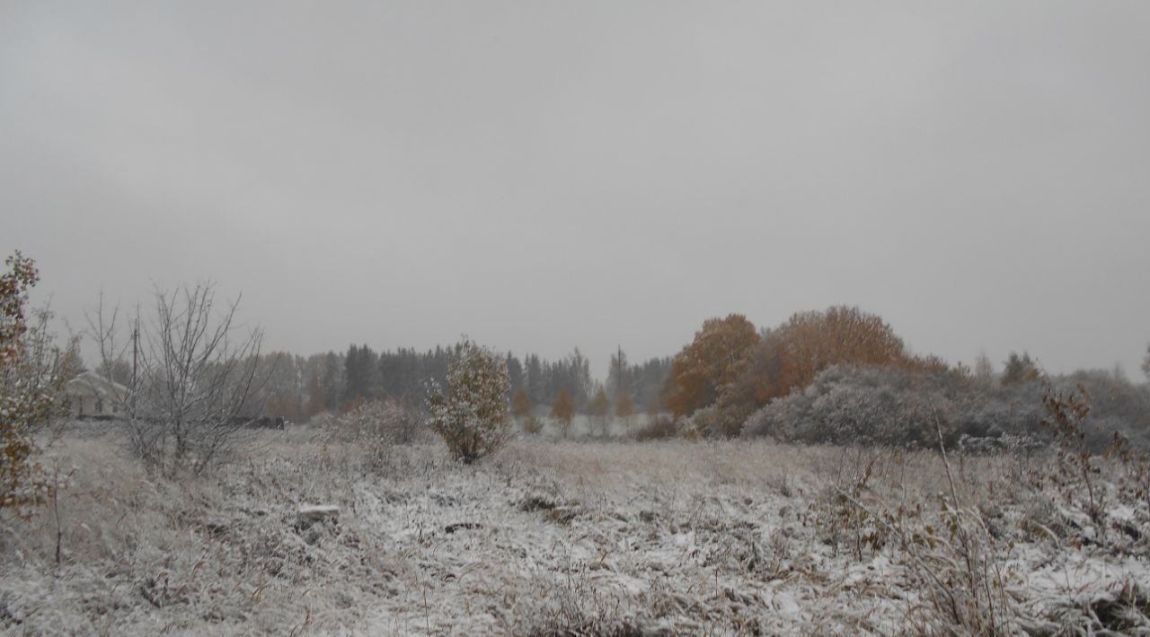 офис городской округ Шаховская д Рябинки фото 1