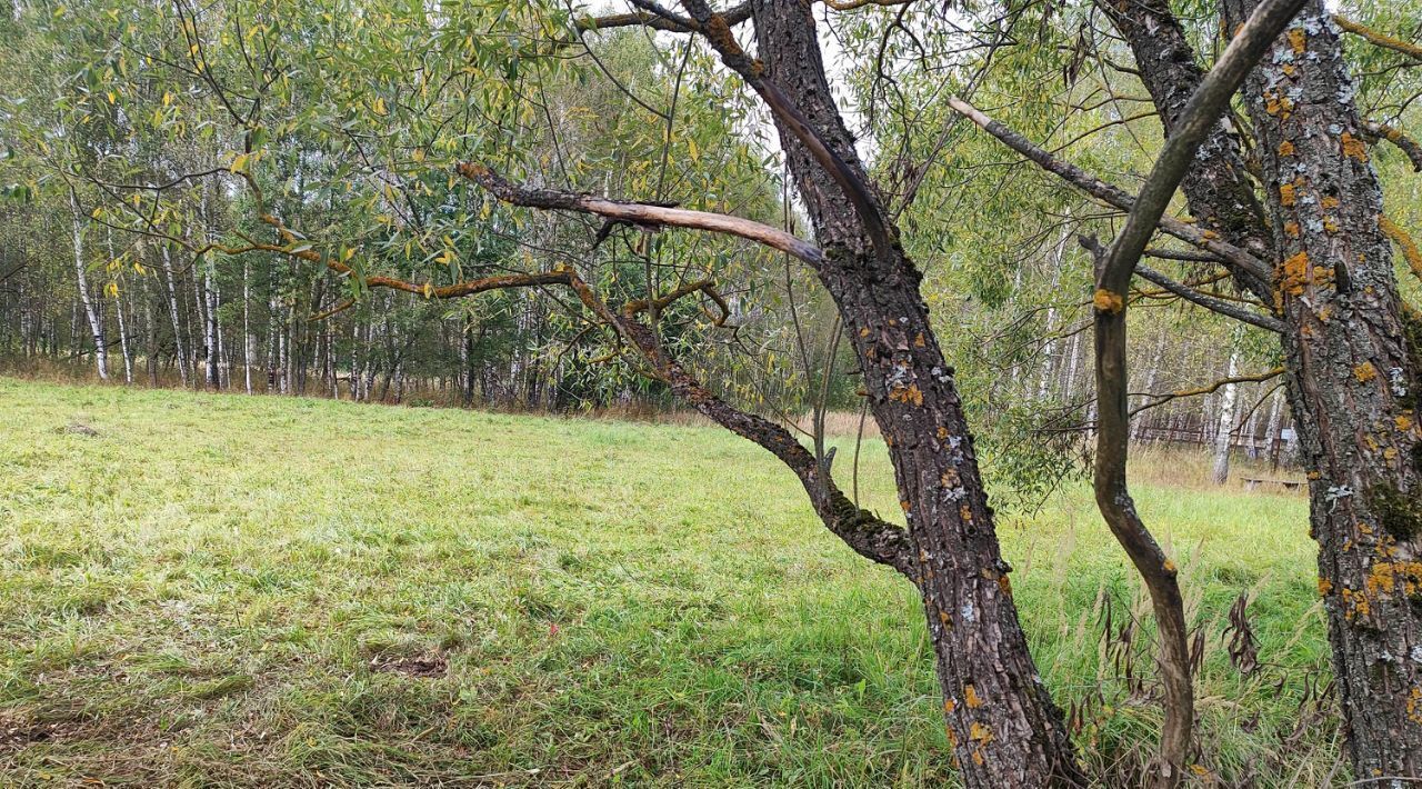 офис городской округ Раменский д Дементьево ул Молодежная фото 2