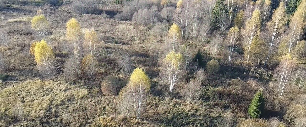 офис городской округ Волоколамский д Чернево фото 4