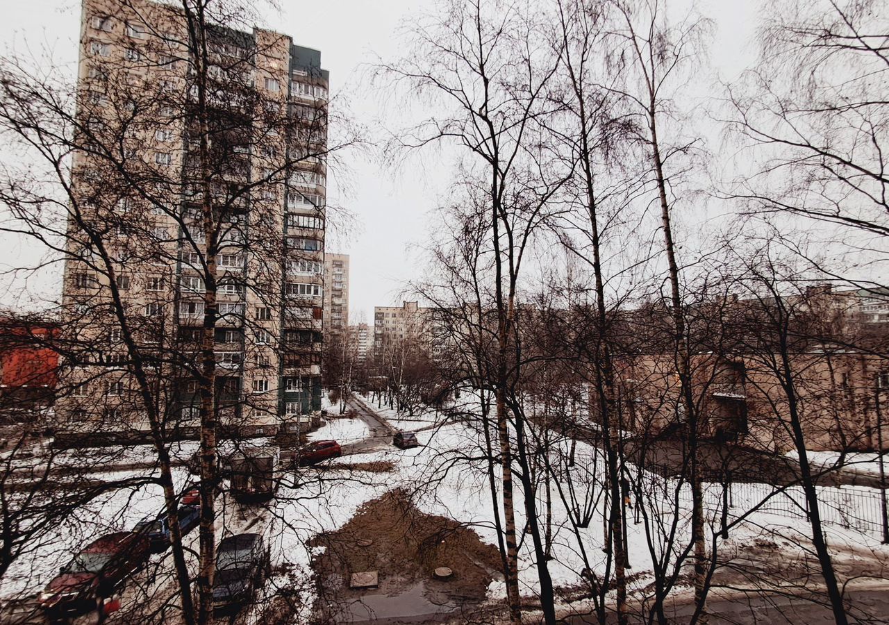 квартира г Санкт-Петербург метро Проспект Большевиков пр-кт Наставников 15к/5 округ Пороховые фото 5