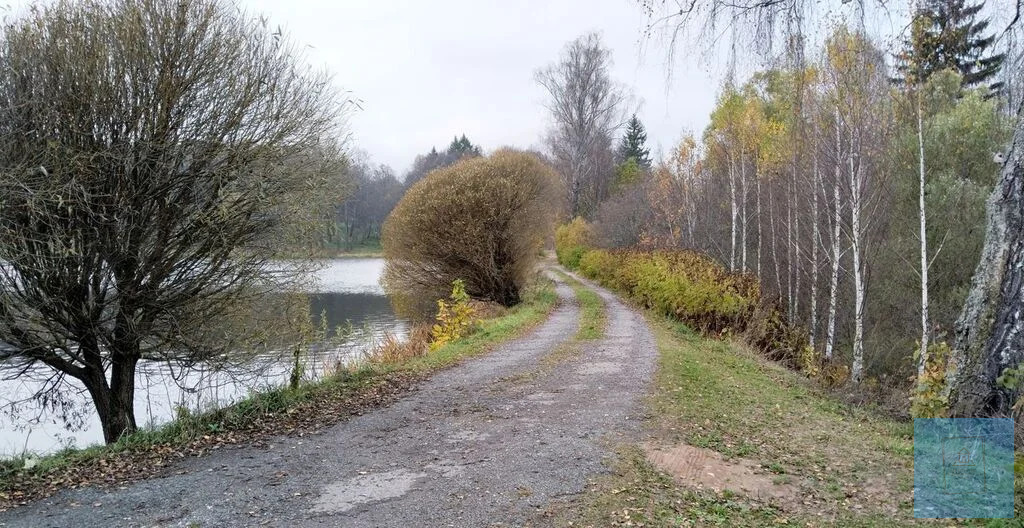 земля городской округ Солнечногорск д Дулепово Ленинградское фото 5