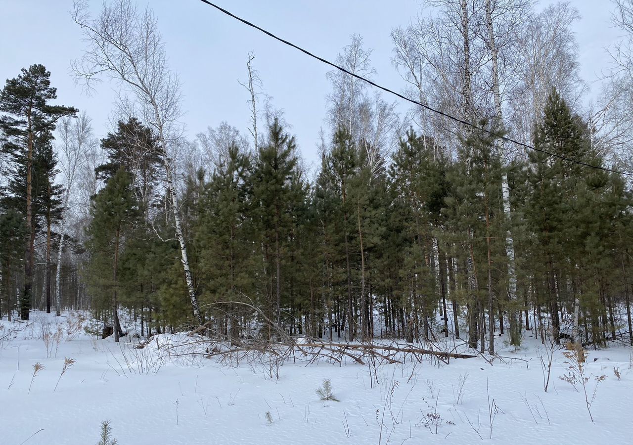 земля р-н Новосибирский п Степной Кубовинский сельсовет, Лесная ул, Новосибирск фото 2