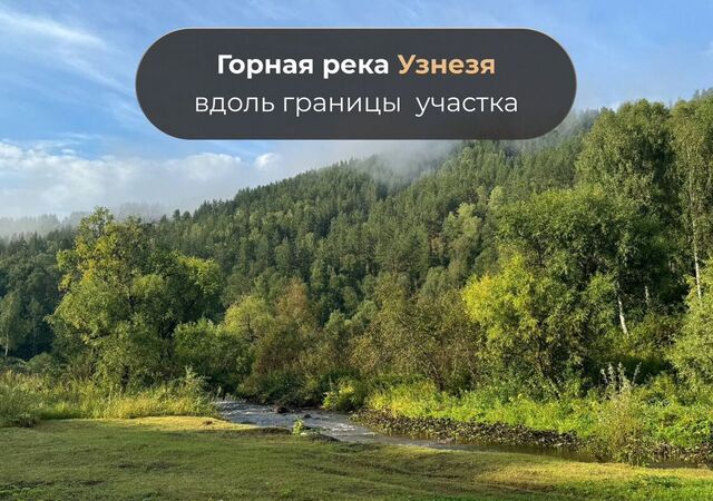 р-н Чемальский территория Урочище Каратурук, 3, Горно-Алтайск фото