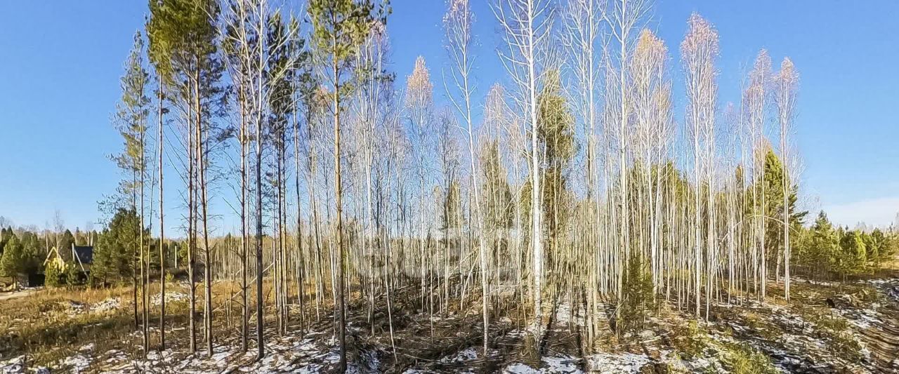 земля р-н Нижнетавдинский Лесная симфония кп фото 1