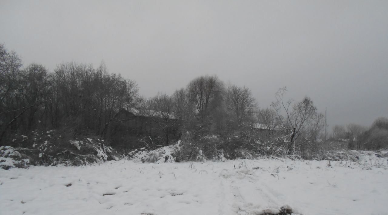 офис городской округ Шаховская д Степаньково фото 1