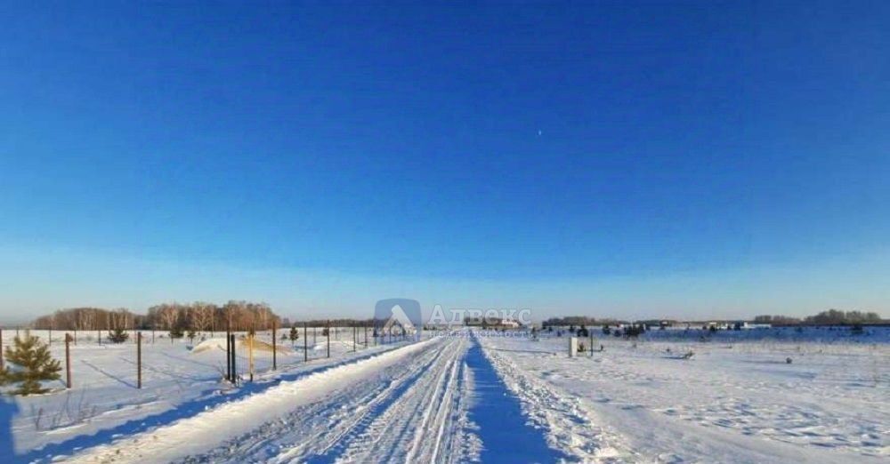 земля г Тюмень р-н Центральный пл Центральная фото 3