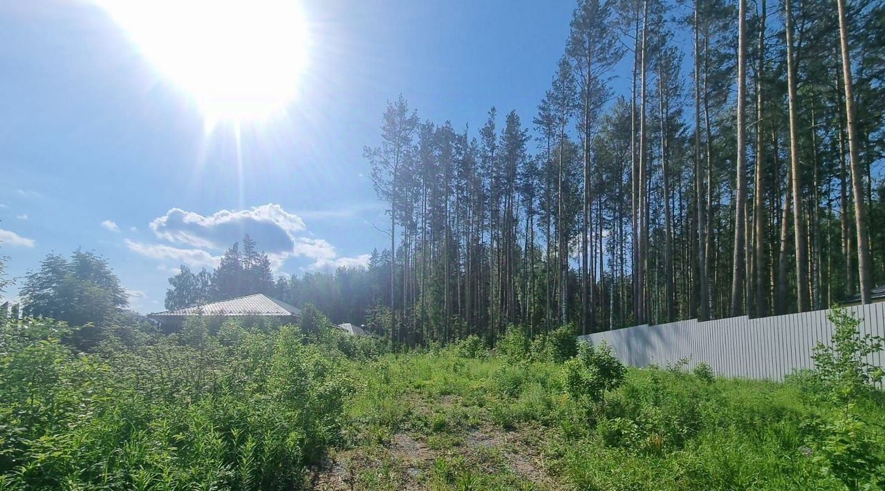 земля р-н Сысертский п Полевой ул Свободная фото 3