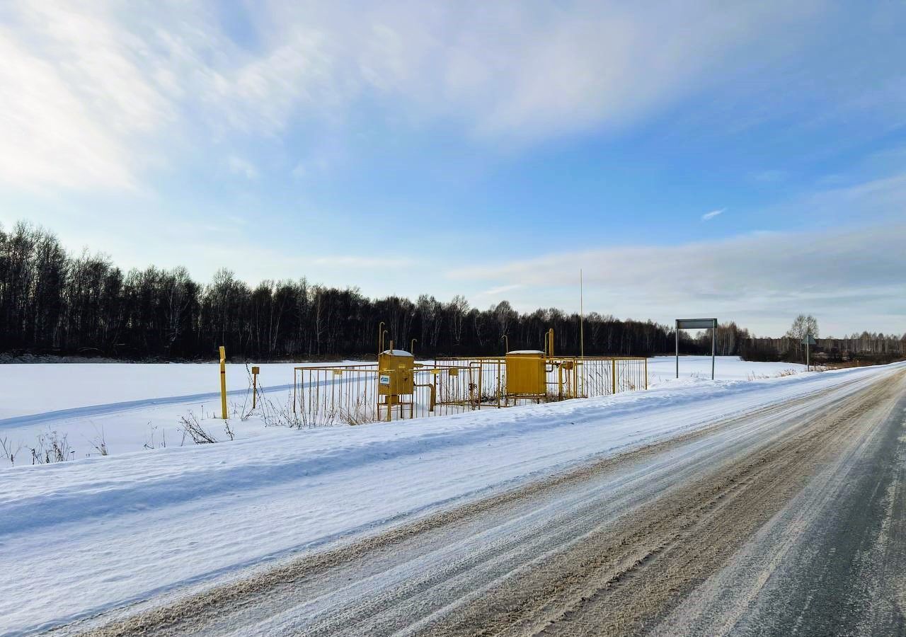 земля г Тюмень р-н Центральный снт Малинка ул Центральная фото 2