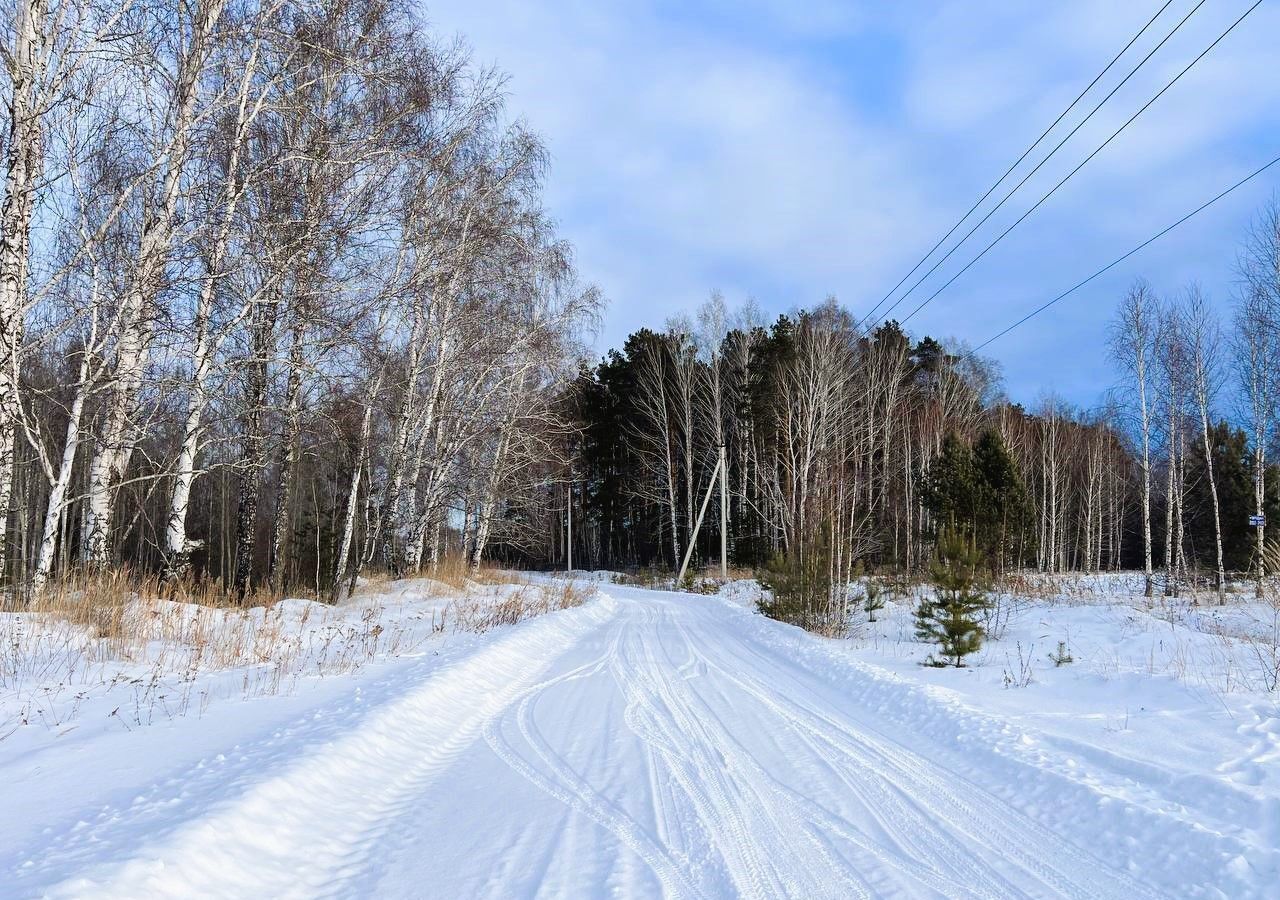 земля г Тюмень р-н Центральный снт Малинка ул Центральная фото 4