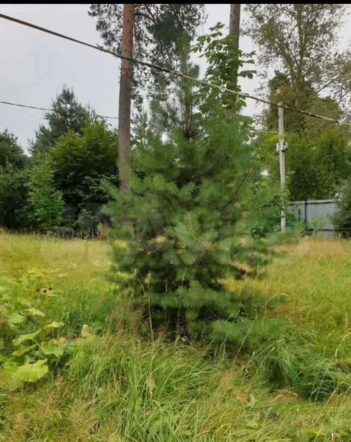 дом городской округ Щёлково дп Загорянский 12 км, дп. Загорянский, ул. Нахимова, 23, г. о. Щёлково, Щёлковское шоссе фото 3