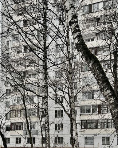 метро ВДНХ дом 11к/1 муниципальный округ Алексеевский фото