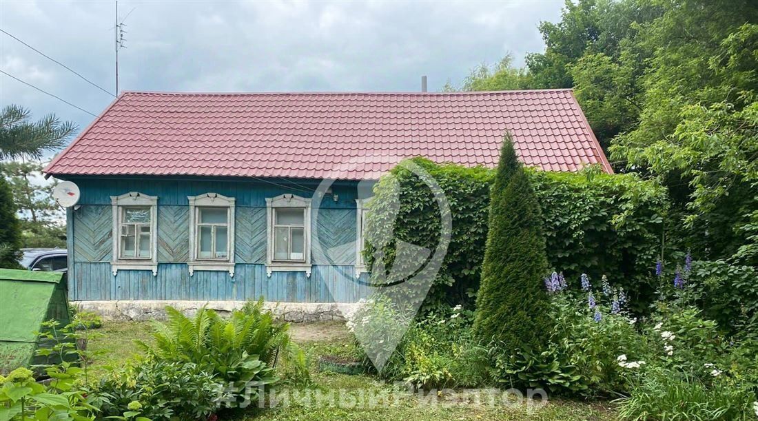 дом р-н Скопинский с Павелец ул Лопатино 124 Павелецкое городское поселение фото 1