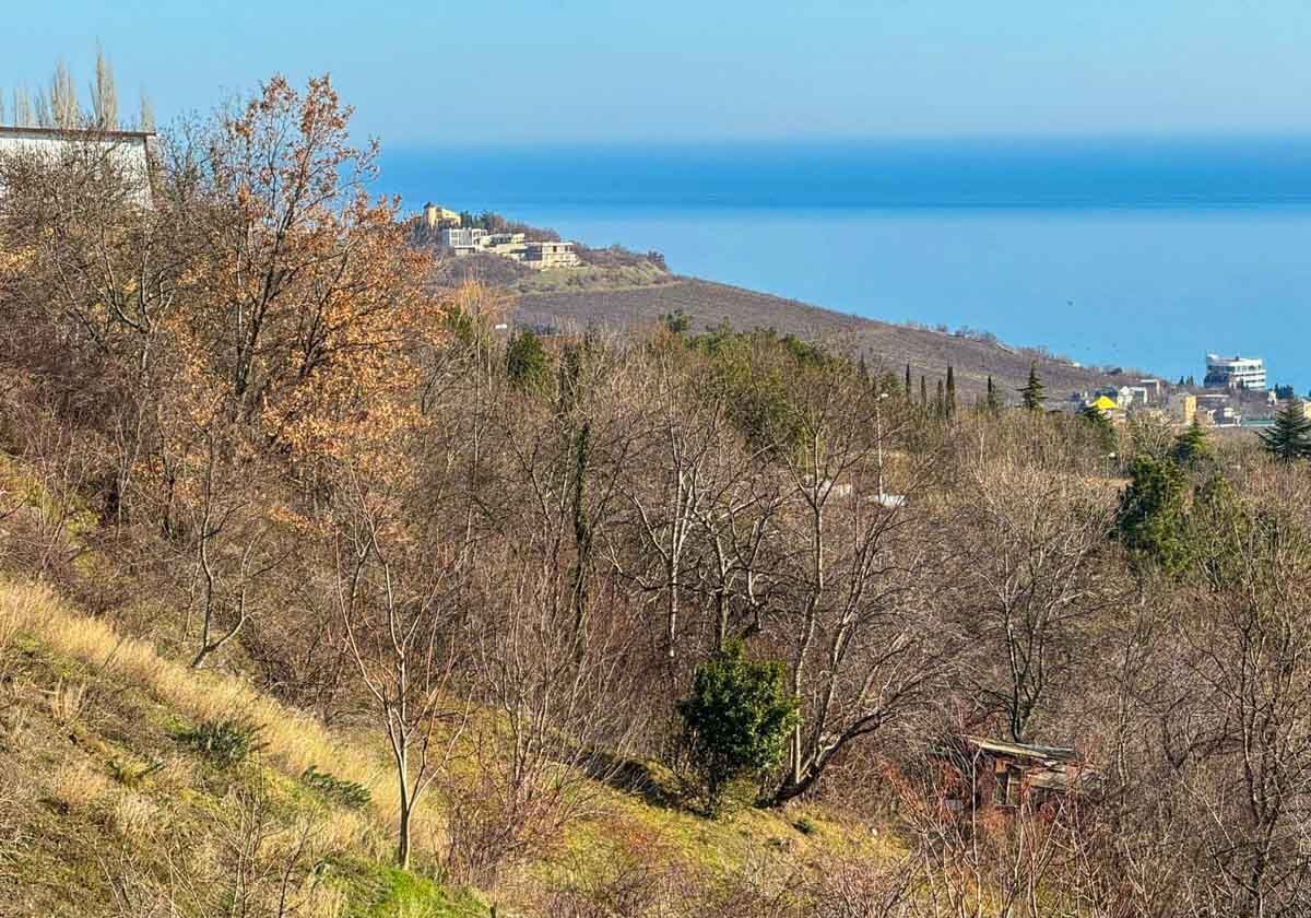 земля г Алушта с Нижнее Запрудное ул Виноградная фото 4