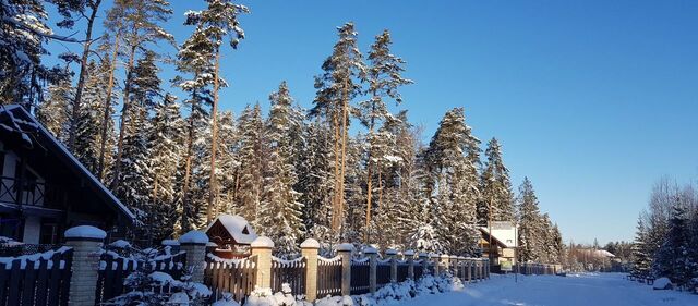 п Красная Долина Приморское шоссе, 61 км, Приморское городское поселение, садоводческое некоммерческое товарищество Гармония, 158 фото