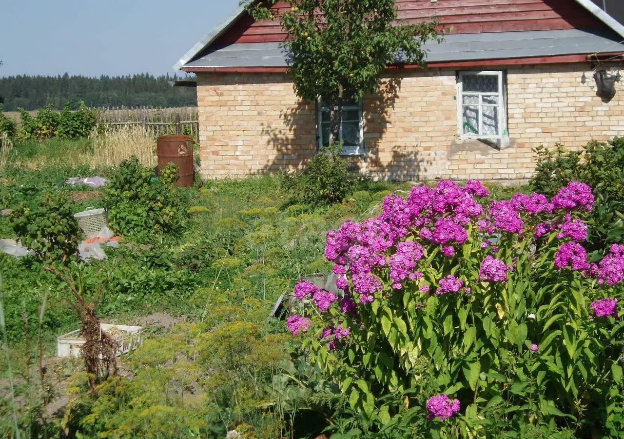 земля р-н Волосовский д Большое Кикерино ул Тихая 4 Таллинское шоссе, 40 км, Калитинское сельское поселение, Волосово фото 2